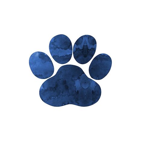 Dog Paw Art, Paw Wallpaper, Paw Art, Dog Paw Prints, Dog Logo Design, Watercolor Water, Paw Paw, Dog Logo, Dog Paw Print