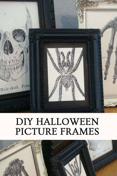 Goth Picture Frames Diy, Halloween Frames Diy, Diy Halloween Picture Frames, Diy Halloween Pictures, Halloween Bunco, Halloween Picture Frames, Picture Frame Projects, Spooky Halloween Pictures, Spooky Pictures