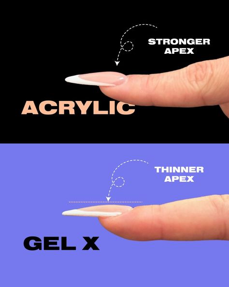 Now other than the obvious compound of acrylics and soft gel extensions, what can we VISUALLY see different between the two? When a nail enhancement is long, there needs to be a bigger apex to support the length over the free edge. For the acrylic model, we were able to build a higher apex to support the length! For the Soft Gel Extensions, we used natural Gel-X tips. The Aprés Sculpted series has a higher apex and a deeper C curve, meant for either clients with a curved nail bed or a Natu... Nail Apex Side View, Gel Extensions, Nail Bed, Soft Gel, Side View, Nail Designs, Two By Two, Nails, Bed