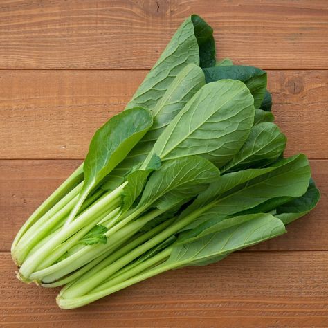 Mustard 'Komatsuna' - (Brassica juncea) Mustard Cabbage, Sawi Hijau, Fruits And Vegetables Pictures, Eggplant Seeds, Spinach Seeds, Vegetable Pictures, Leaf Vegetable, Asian Vegetables, Bean Seeds