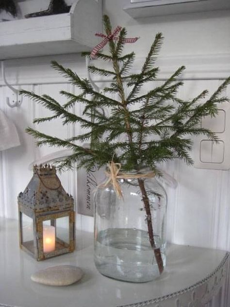 single Christmas tree stem in a glass vase on a table Arreglos Ikebana, Scandinavian Christmas Trees, Minimalist Christmas Decor, Natural Christmas Decor, Minimalist Christmas Tree, Simple Christmas Decor, Fabulous Christmas, Christmas Decorations Bedroom, Simple Christmas Tree