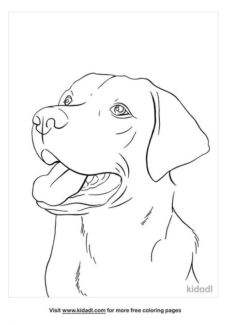 Dog Face Drawing, Dog Drawing Tutorial, Dog Watercolor Painting, Dog Outline, Dog Line Art, Dog Drawings, Dog Line, Dog Sketch, Watercolor Dog