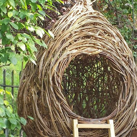 willow playhouses & classes on Instagram: "I've spent the last few days building a nest! #willownest #willowplayhouse #willowplayhouses #naturalplayhouse #naturalplayhouses" Perma Garden, Willow Art, Hobbit Houses, Nature Exploration, Community Spaces, Willow Garden, Playground Structures, Natural Playground, Community Space