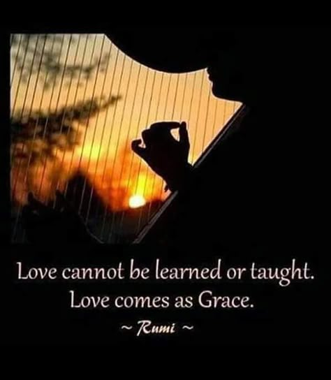 "Love cannot be learned or taught. Love comes as Grace." Rumi Rumi Books, Metaphysical Quotes, Poet Rumi, Molana Rumi, Quotes By Rumi, Kahlil Gibran Quotes, Quotes Rumi, Shams Tabrizi, Rumi Poem