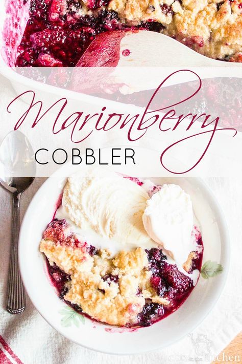 Marionberry Cobbler | Catz in the Kitchen | catzinthekitchen.com #berries Marionberry Cobbler, Marionberry Recipes, Marion Berry, Mixed Berry Cobbler, Berry Cobbler Recipes, Berry Cobbler, Fruit Cobbler, Berry Picking, Berry Dessert