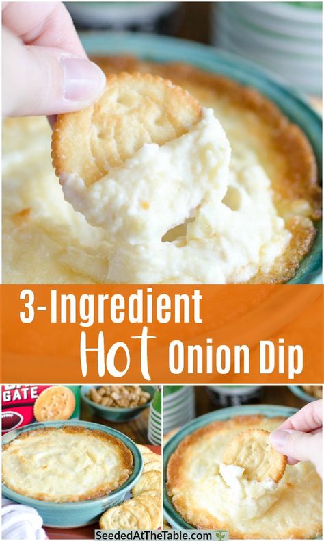 Baked Onion Dip, Hot Onion Dip, Baked Onion, Last Minute Appetizer, Onion Dip Recipe, Baked Onions, Healthy Appetizer Recipes, Appetizers Easy Finger Food, Dip Recipes Easy