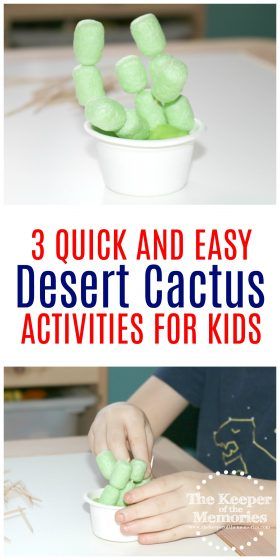 If you’re looking for quick and easy preschool cactus crafts and activities, then you’re definitely going to want to check out this post. You’ll find fun cactus ideas for Math, Science, and of course Art that are perfect to do with your little kids during your next desert theme. #preschool #desert #activities Cactus Art Preschool, Fiesta Preschool Activities, Preschool Desert Theme, Desert Activities For Preschool, Desert Crafts Preschool, Desert Theme Preschool, Desert Animals Preschool, Desert Preschool Activities, Desert Preschool