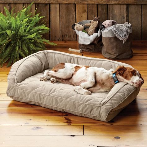 Orvis ComfortFill-Eco Bolster Dog Bed Comfy Dog Bed, Dog Couch Bed, Dog Bed Sizes, Bolster Dog Bed, Multiple Dogs, Fall Flannel, Bed Liner, Muddy Paws, Orthopedic Dog Bed