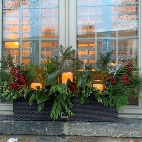 Flower Boxes Window Winter Outdoor Christmas, Christmas Window Boxes With Lights, Holiday Window Box Ideas, Xmas Window Boxes Decorating Ideas, Christmas Planter Box Ideas, Winter Flower Box Ideas, Christmas Window Box Decorations, Winter Flower Boxes Window, Winter Planter Boxes