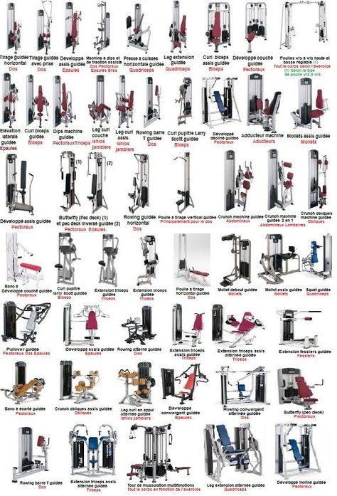 Gym Equipment Machine, Weight Machine Workout, Gym Equipment Names, Gym Workouts Machines, Home Gym Machine, Gym For Beginners, Gym Room At Home, Gym Workout Chart, Gym Machines