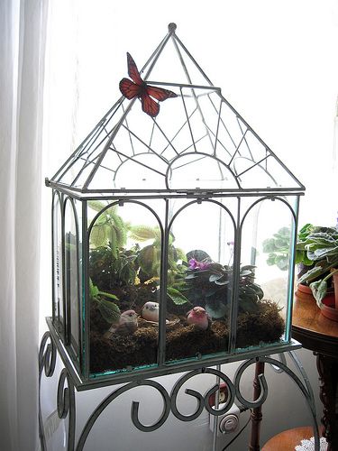 Wardian Case, Miniature Greenhouse, Indoor Fairy Gardens, Best Greenhouse, House Move, Faeries Gardens, زجاج ملون, Indoor Gardens, Garden Terrarium