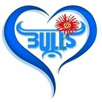 Blou Bulle Rugby Logo, Blue Bulls Rugby Logo, Rugby Images, Rugby Funny, South African Rugby, Rugby Logo, Cricut Projects Easy, Game Fowl, Cricut Stencils