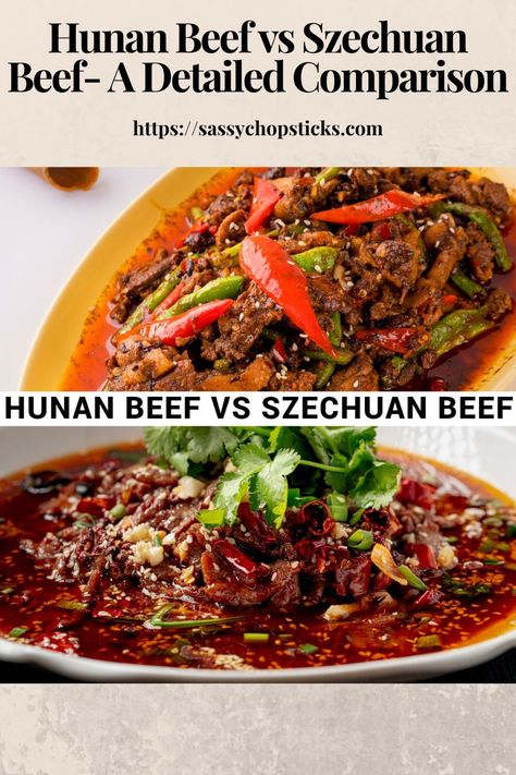 Hunan beef vs szechuan beef? Hunan Beef and Szechuan Beef are the two most popular Chinese dishes that have become many people's favorites. Hunan Beef, Chinese Egg Rolls, Szechuan Beef, Popular Chinese Dishes, Chinese Egg, Chinese Cooking Recipes, Popular Snacks, Ethnic Food, Chinese Dishes