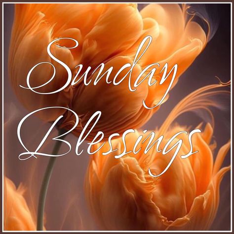 Good Morning Happy Sunday Images, A Blessed Sunday, Happy Sunday Images, Sunday Greetings, Have A Blessed Sunday, Sunday Blessings, Sunday Images, Beautiful Good Morning, Good Morning Happy Sunday