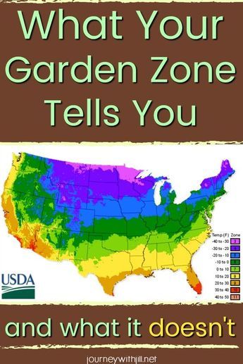 Are you looking for a garden zone map to help you know when to plant in the spring or fall? Unfortunately, garden zones can be misunderstood. Here you'll learn what your garden zone is, what it tells you, and more importantly, what it doesn't. Garden Zones, Shed Inspiration, Backyard Garden Layout, Gardening Zones, Plant Zones, When To Plant, Backyard Garden Landscape, Small Backyard Gardens, Home Vegetable Garden