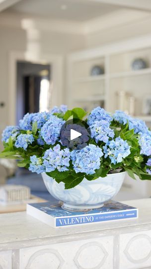 88K views · 5.9K reactions | Hydrangea arranegment! It doesn’t get easier than this, and it’s The perfect pop of color for any room. 
.
.
.
.
.
.
#hosttoperfection #shopleeliss #leelis #hydrangeas #hydrangeasarrangement #bluehydrangeas💙 #springcenterpiece #summercenterpiece | Barbara & Carolina - sisters | Penguin Piano · Love Story - Indila Hydrangea Season, Flower Combinations, Floral Tools, Summer Centerpieces, Hydrangea Arrangements, Spring Centerpiece, Bridal Luncheon, Floral Arrangements Diy, Entertaining Decor