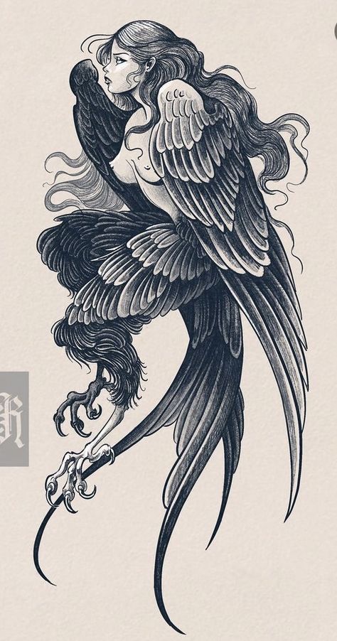 Bird Wings Tattoo, Winged Animals, Greek Mythology Bird Tattoo, Harpy Tattoo Design, Harpy Art, Harpy Tattoo, Gothic Illustration, Harpy Tattoo Greek Mythology, Harpy Character Design