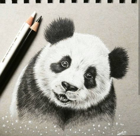 Panda drawing Animal Sketching, Panda Sketch, Pastel Artists, Cute Panda Drawing, Panda Tattoo, Panda Drawing, Icelandic Horses, Trail Ride, Pencil Drawings Of Animals