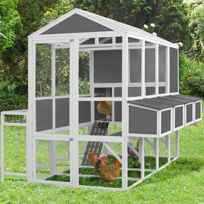 Walk In Chicken Coop, Quails, Chicken Run, Eco Friendly Paint, Wild Bird Food, Pet Crate, Chicken Runs, Chicken Coops, Chicken House