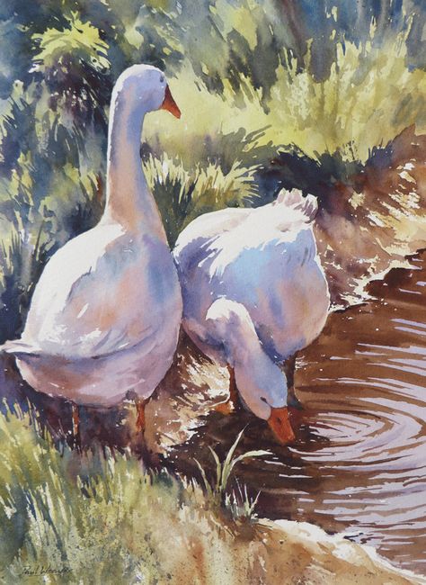 Watercolor Ducks, Weavers Art, Farm Art, Watercolor Landscape Paintings, Arte Animal, Watercolor Inspiration, 판타지 아트, Watercolor Bird, Watercolor Animals