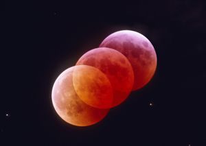 Three Moons, Moon Dance, Solar Eclipses, Phases Of The Moon, Sun Moon Stars, Good Night Moon, Lunar Eclipse, Blood Moon, Beautiful Moon