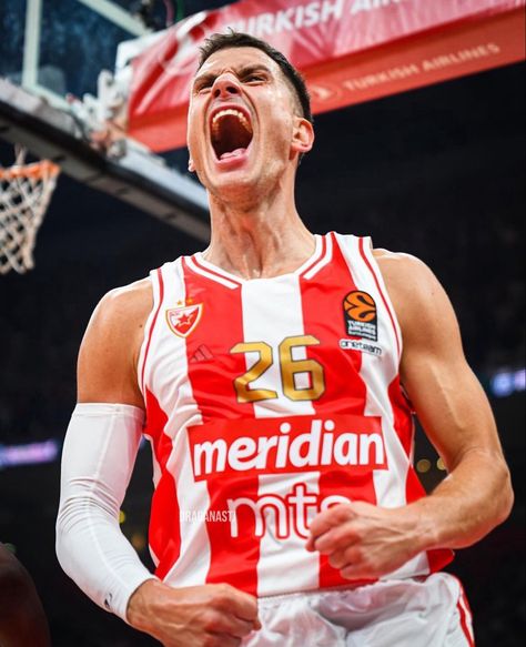 Nemanja Nedovic, Crvena Zvezda, Basketball