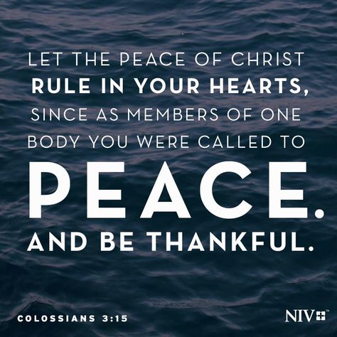 Let the peace of Christ rule in your hearts, since as members of one body you were called to peace. And be thankful. Colossians 3 15, Niv Bible, Colossians 3, Bible Love, Wealth Affirmations, Inspirational Bible Quotes, Be Thankful, Jesus Is Lord, Daily Bible