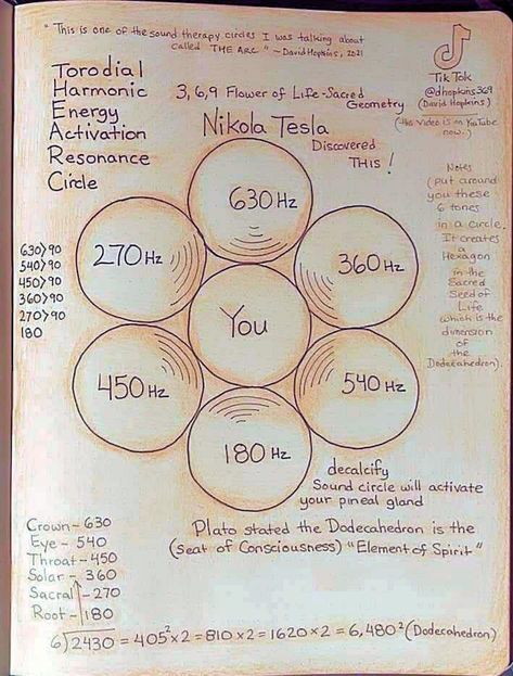 Learn Physics, Sacred Science, Sacred Geometry Symbols, Sacred Geometry Art, Spirit Science, Energy Healing Spirituality, E Mc2, Ancient Knowledge, Knowledge And Wisdom