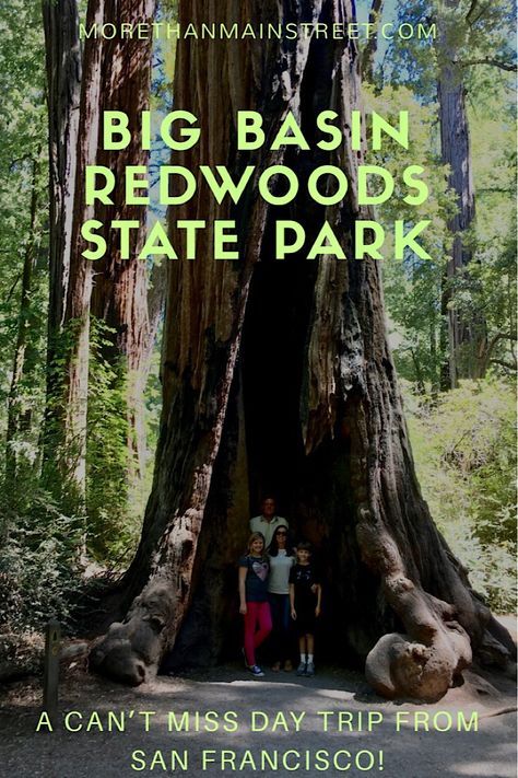 Add Big Basin Redwoods State Park to your California road trip!! The perfect easy hike for all ages to see the giant redwoods! US Travel #redwoods #familytravel #california #roadtrip Oregon Adventures, Big Basin, California Roadtrip, California Road Trip, California Camping, The Redwoods, Summer 19, Usa Travel Guide, Visit California