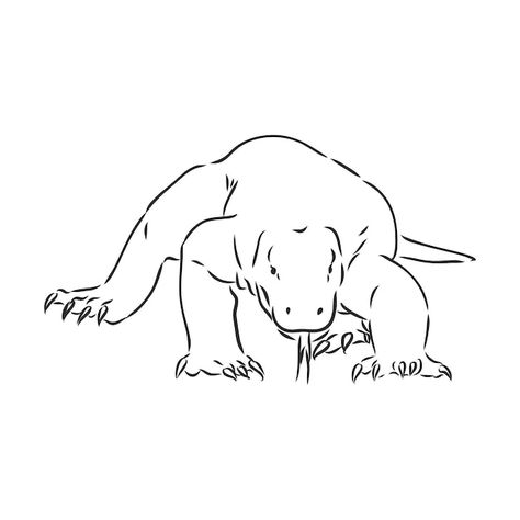 Hand drawn, sketch illustration of komod... | Premium Vector #Freepik #vector #lizard #reptile #predator #animal-drawing Komodo Dragon Drawing, Monkey Icon, Line Art Drawing, Komodo Dragon, Hand Drawn Vector Illustrations, Vector Sketch, Doodle Illustration, Sketch Illustration, Dragon Drawing