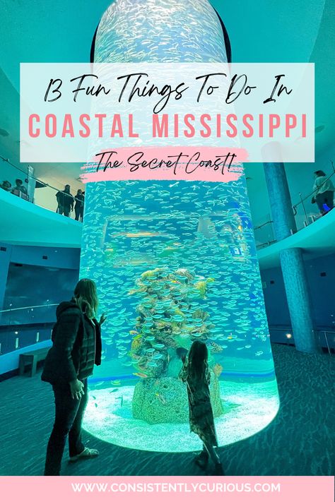 Fun Things To Do In Mississippi, Gulfport Mississippi Things To Do In, Mississippi Things To Do, Biloxi Mississippi Things To Do, Gulf Port Mississippi, Mississippi Beaches, Waveland Mississippi, Things To Do In Mississippi, Pascagoula Mississippi