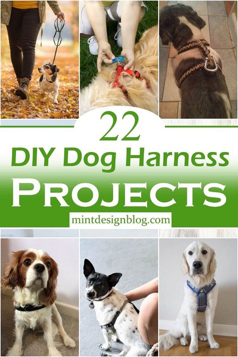 Macrame Dog Harness Diy, Paracord Harness Dogs Diy, Diy Dog Vest, Diy Sewing Dog Projects, Crochet Dog Harness Pattern, Paracord Dog Harness Tutorial, Diy Harness Dog, Paracord Dog Harness Diy, Diy Dog Harness How To Make