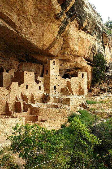 Cliff Dwellings at Mesa Verde Mesa Verde Cliff Dwellings, Cliff Dwellings, Mesa Verde National Park, Desert Oasis, Building Techniques, Light And Space, Ancient Ruins, San Francisco Bay, San Francisco Bay Area