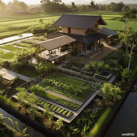 Home Vegetable Garden Design, Chateaux Interiors, Rice Fields, Model House Plan, Village House Design, Vegetable Garden Design, Eco House, Home Decorating Ideas, Dream House Exterior