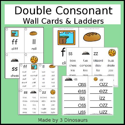 3 Dinosaurs - Double Consonant Wall Cards & Ladders Set Double Consonant Words, Consonant Words, Double Consonants, 3 Dinosaurs, Free Kindergarten Worksheets, How To Teach Kids, Time Pass, Word Family, Beginning Reading