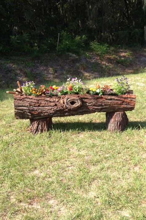 Our log plantar Ideas For Logs, Wood Log Ideas Diy Projects Tree Trunks, Logs Ideas Garden, Log Art, Log Decor, Log Projects, Log Planter, Garden Wood, Wooden Log