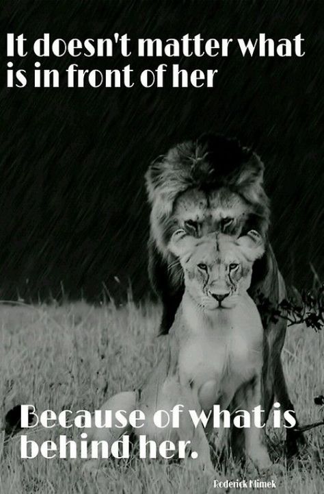 Lioness Quotes, Lion Couple, Beautiful Women Quotes, Lion Quotes, Lion And Lioness, Lion Love, Lion Pictures, Warrior Quotes, Super Quotes