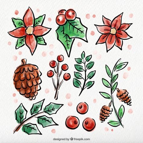 Holly Doodle Christmas, Christmas Plants Drawing, Christmas Flower Illustration, Winter Flowers Drawing, Poinsettia Doodle, Christmas Flower Drawing, Winter Doodles Easy, Christmas Flowers Drawing, December Drawings