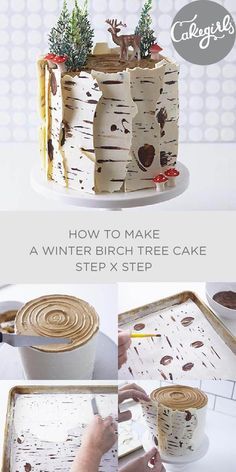 Birch Tree Cake, Birch Cake, Birch Tree Cakes, Moist Spice Cake, Gift Box Cakes, Dark Chocolate Candy, Spice Cake Recipes, Ice Cake, Tree Winter