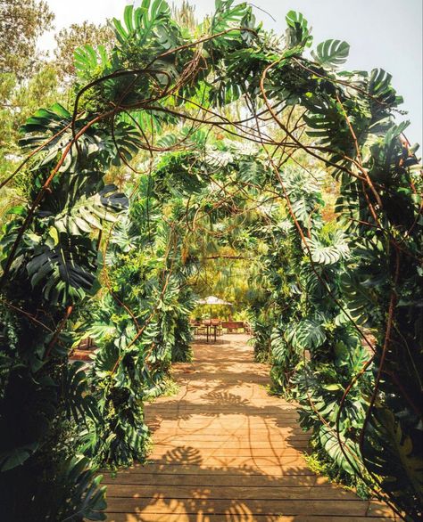 Jungle Theme Birthday Party Entrance, Jungle Entrance Decor, Tropical Disco, Jungle Theme Birthday Party, Rainforest Theme, Jungle Wedding, Event Entrance, Neon Jungle, Party Entrance