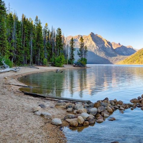 Redfish Lake Idaho, Idaho Adventure, Visit Idaho, Idaho Travel, Lake Lodge, Idaho Falls, Lake Fishing, Alpine Lake, Mountain Lake