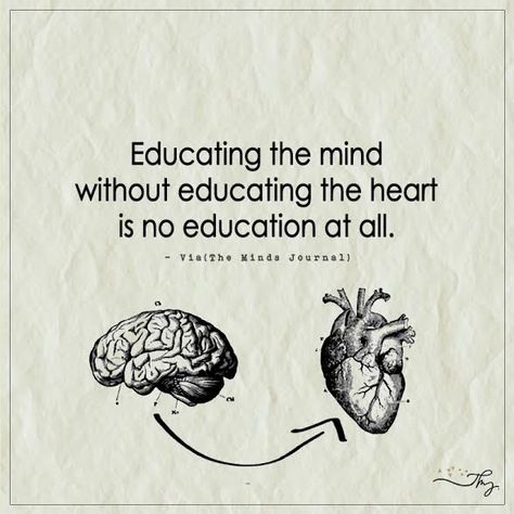 Educating the mind without educating the heart is no education at all. - http://themindsjournal.com/educating-the-mind-without-educating-the-heart-is-no-education-at-all/ Educating The Mind Without Heart, Use Your Brain Quotes, Mind Journal Quotes, Heart And Brain Quotes, Quotes About Mind, The Mind Quotes, Mind And Heart Quotes, Quotes Personality, Brain Quotes