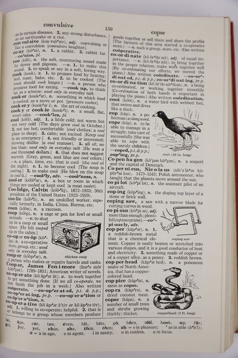 Suffixes And Prefixes, Editor In Chief, New York Red, Feeling Helpless, Red Books, American English, To My Mother, Reference Books, Publishing Company