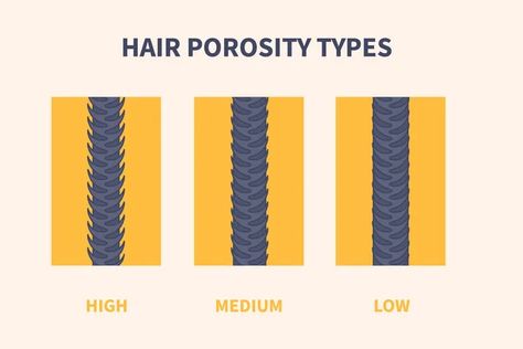 Best Oils For 4C High Porosity Hair - Tasiahub Porosity Test, Apple Cider Vinegar Rinse, Low Porosity Hair, Porous Hair, Vinegar Rinse, High Porosity Hair, Low Porosity, High Hair, Low Porosity Hair Products