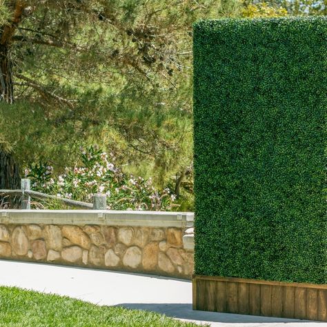 e-Joy 1.7 ft. H x 1.7 ft. W Polyethylene Fence Panel & Reviews | Wayfair Hedge Fence, Artificial Hedges, Boxwood Hedge, Fence Screening, Artificial Boxwood, Silk Hydrangeas, Fence Panel, Decor Pillows, Fence Panels