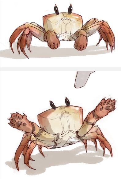 Crab Monster Concept Art, Cute Crab Art, Cute Crab Drawings, Crab Concept Art, Crab Skeleton, Crab Person, Crab Character Design, Fantasy Crab, Crab Pictures