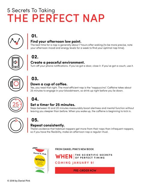 Nap Times For Productivity, How To Study At Night Without Sleeping, Healthy Reset, Sleep Inertia, Sleep Guide, Little Do You Know, Mental And Physical Health, Sleeping Too Much, Sleep Health