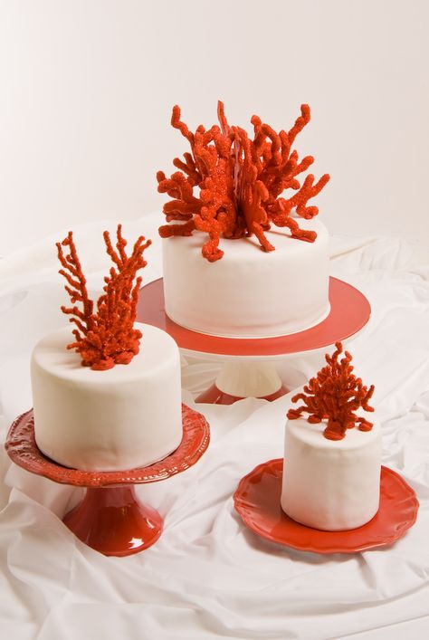 Fondant Coral, Custom Sugar Cookies, Red Sugar, Sea Cakes, Beach Cakes, Beach Wedding Cake, Gourmet Cupcakes, Gorgeous Wedding Cake, Fondant Figures