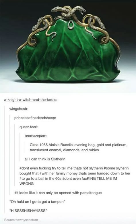 Slytherin Pride, Yer A Wizard Harry, Harry Potter Love, Harry Potter Obsession, Harry Potter 3, Mischief Managed, Harry Potter Universal, Harry Potter Fantastic Beasts, Harry Potter Funny