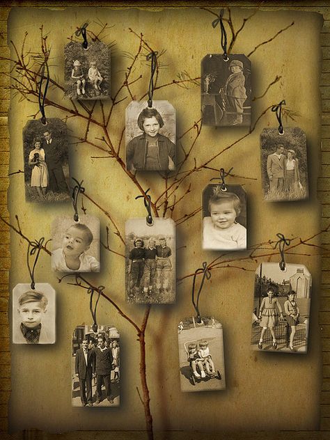 Gather pics of the wedding couple through the years and print in sepia. Branch Decoration, Decoration Photo, Trendy Tree, Decoration Originale, Photo Craft, Shadow Boxes, Tree Branch, Diy Projects To Try, Family Reunion